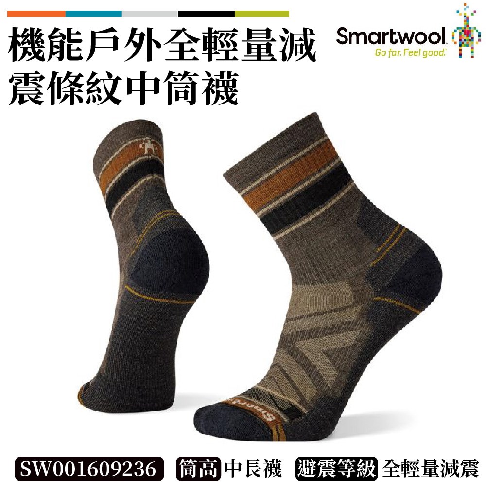 Smartwool 機能戶外全輕量減震條紋中筒襪 灰褐 SW001609236 美麗諾 羊毛襪 登山襪
