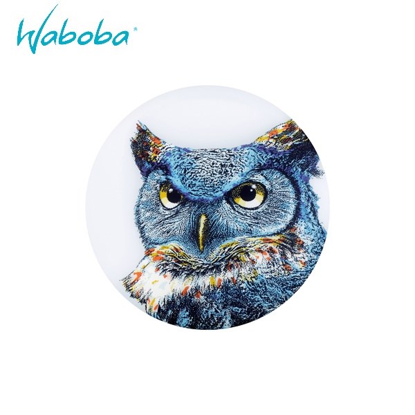 瑞典 WABOBA Wingman UFO LED軟式飛盤 發光 綠光 飛盤