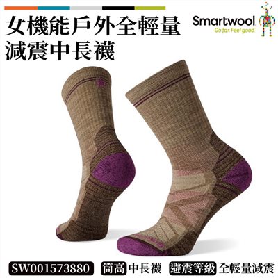 Smartwool 女 機能戶外全輕量減震中長襪 棕色 SW001573880 美麗諾 羊毛襪 登山襪