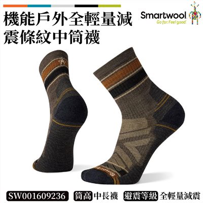 Smartwool 機能戶外全輕量減震條紋中筒襪 灰褐 SW001609236 美麗諾 羊毛襪 登山襪