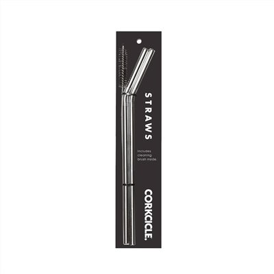 美國 CORKCICLE 不鏽鋼吸管組(兩入) 銀 附清潔刷  吸管 環保吸管