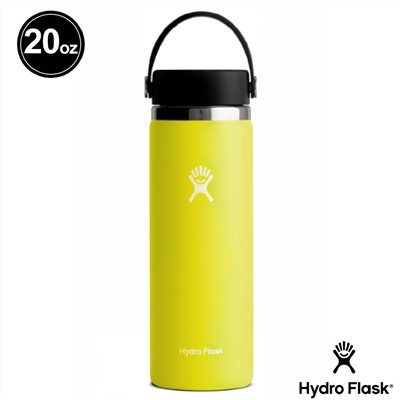 Hydro Flask 20oz/592ml 寬口提環保溫瓶 仙人掌綠 保冷 保溫瓶 水壺 登山 露營