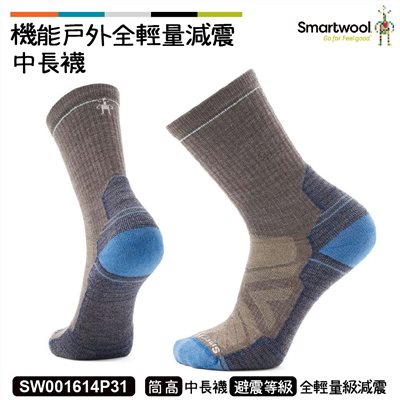 Smartwool 機能戶外全輕量減震中長襪 湖水藍褐 SW001614P31 羊毛襪 登山襪