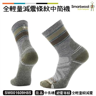 Smartwool 機能戶外全輕量減震條紋中筒襪 淡灰 SW001609H85 羊毛襪 登山襪