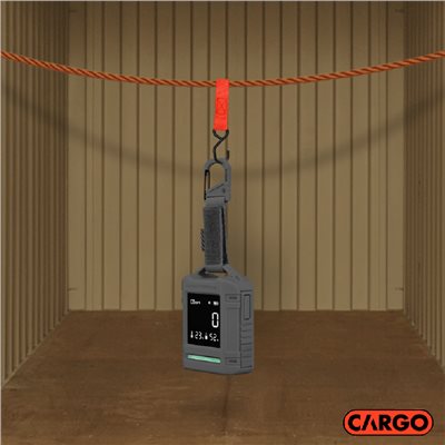 CARGO 一氧化碳溫濕度偵測器 灰色 一氧化碳偵測 濃度 溫度計 濕度計 探測 露營